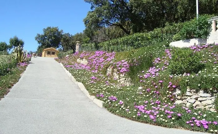 Les Amandiers - 5 Km De La
