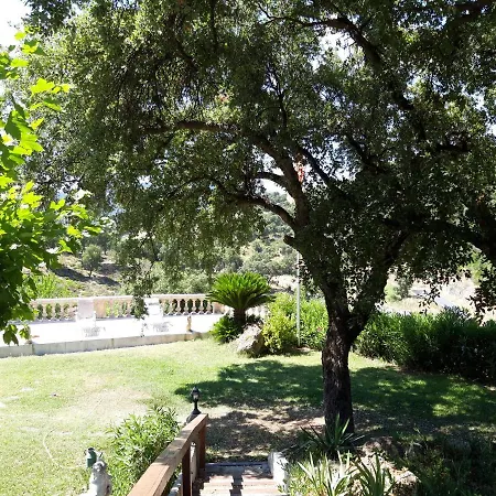 Les Amandiers - 5 Km De La Apartment