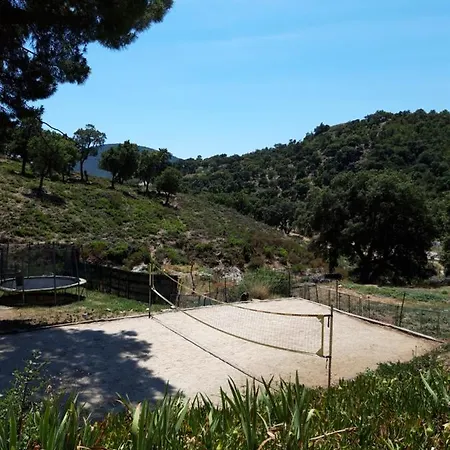 Apartment Les Amandiers - 5 Km De La *