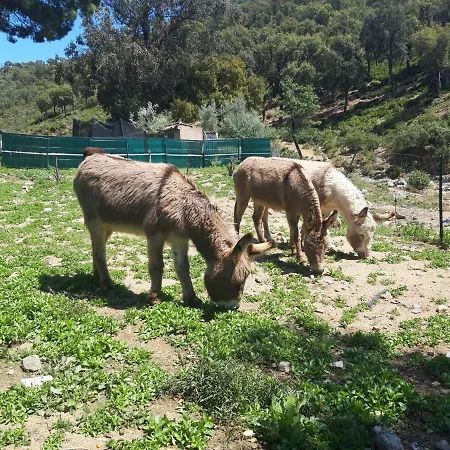 Les Amandiers - 5 Km De La *
