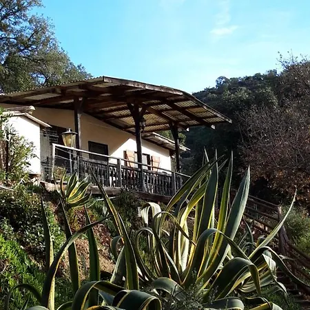 Apartment Les Amandiers - 5 Km De La *