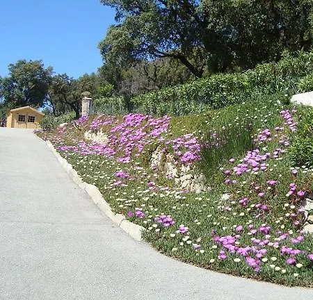Les Amandiers - 5 Km De La