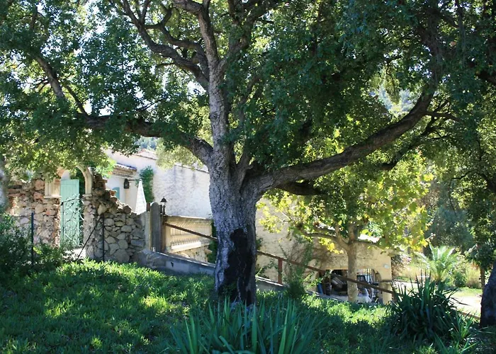 Les Amandiers - 5 Km De La * Sainte-Maxime